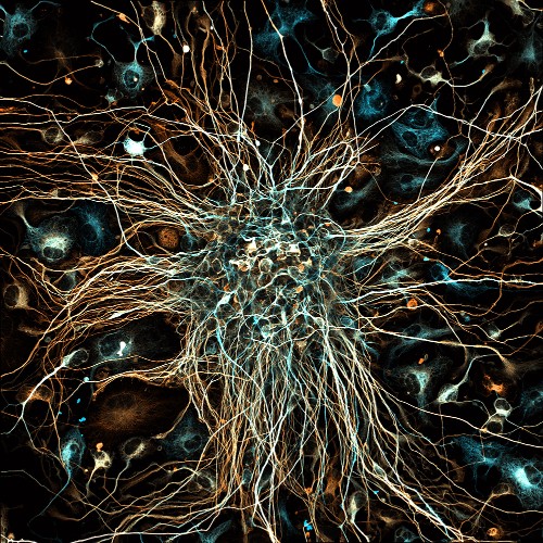 12_Idi_g_500x500.jpg 12_Idi_g_500x500.jpg