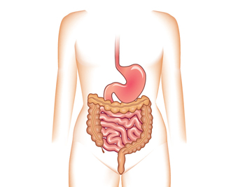 Image : Chirurgie colorectale.