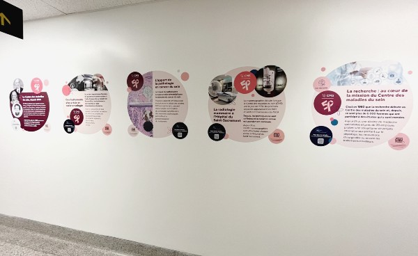 Une partie de la murale du CMS.