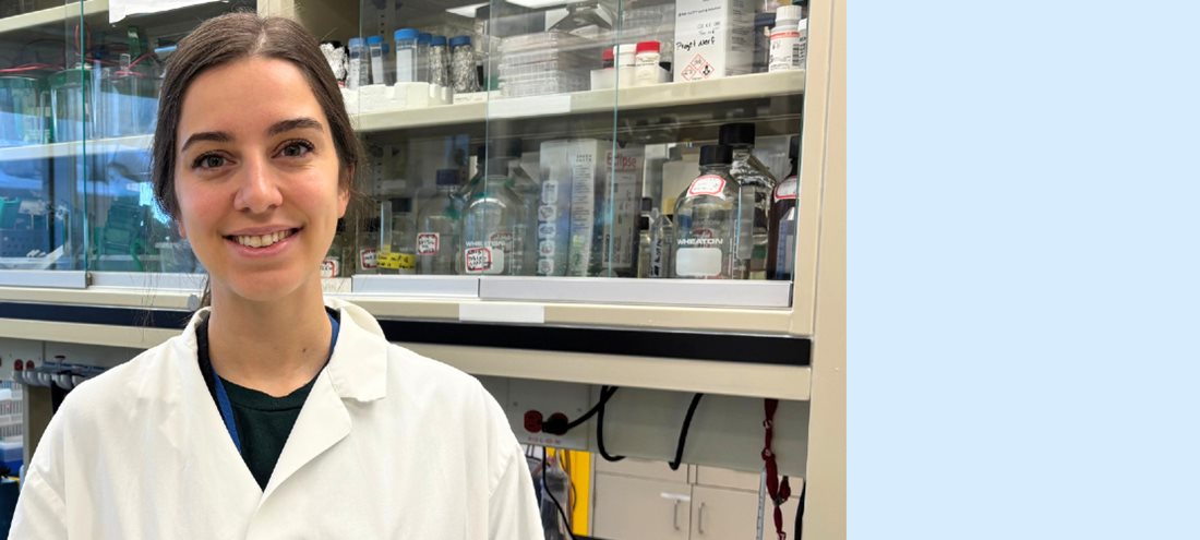 Vers la fabrication en laboratoire d’un modèle humain de moelle osseuse.