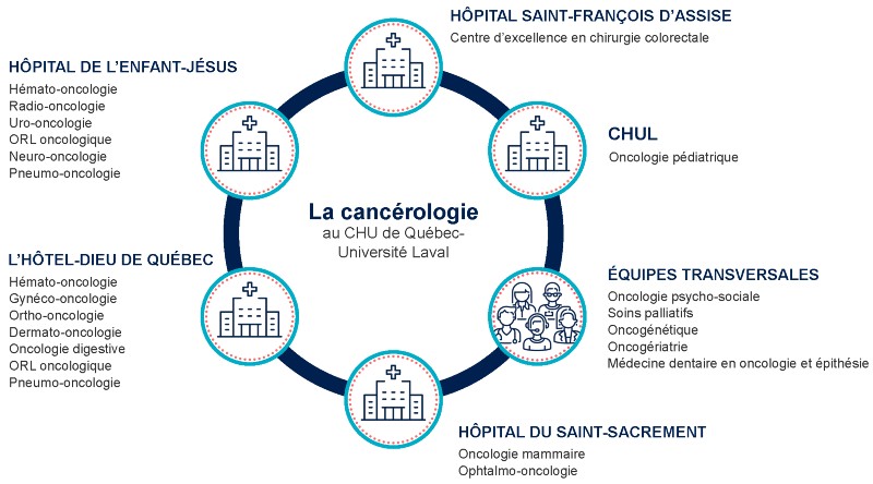 Représentation des services offerts par hôpital du CHU en cancérologie.