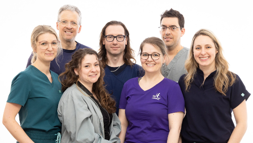 Photo de l'équipe projet.