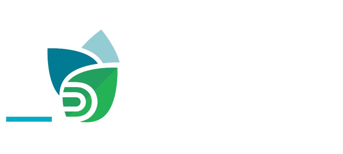 Un nouveau Plan d’action de développement durable et une identité visuelle dédiée.