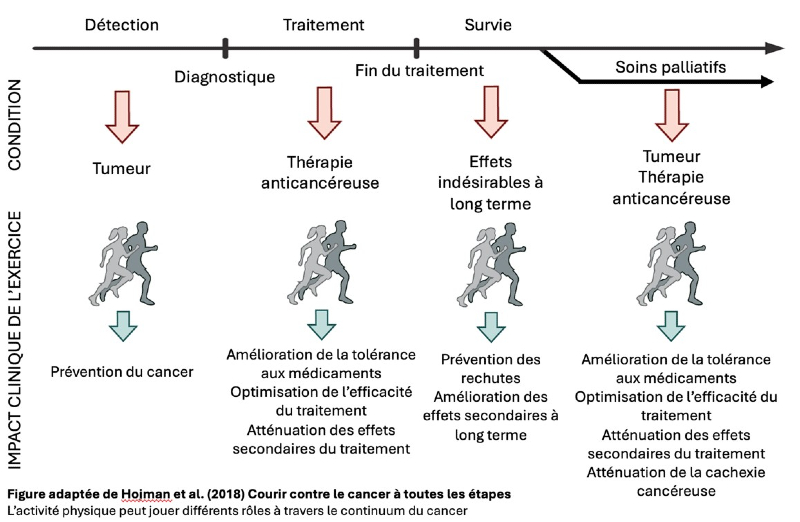 Algorithme de kinésiologie.