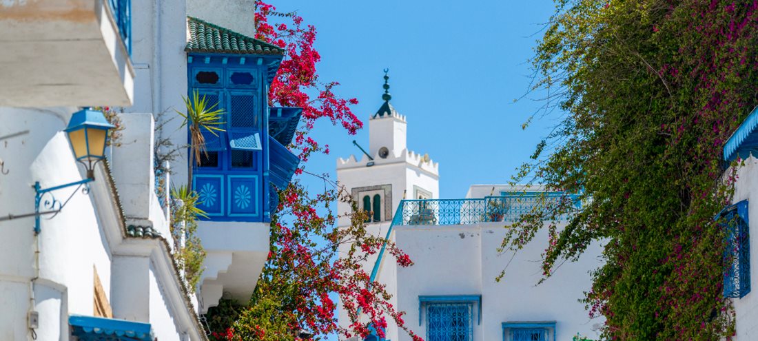 Coin de pays : la Tunisie.