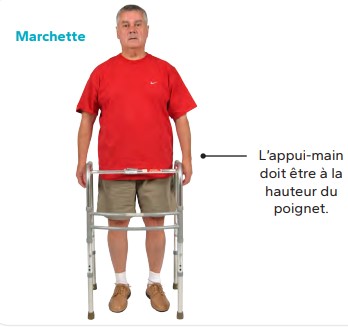 Démonstration pour l’ajustement de la marchette