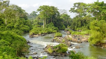Coin de pays : Côte d’Ivoire