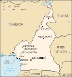 Le Cameroun est situé sur la côte ouest de l’Afrique. Source : Cartograf, https://www.cartograf.fr/pays/cameroun.php. Carte du Cameroun.