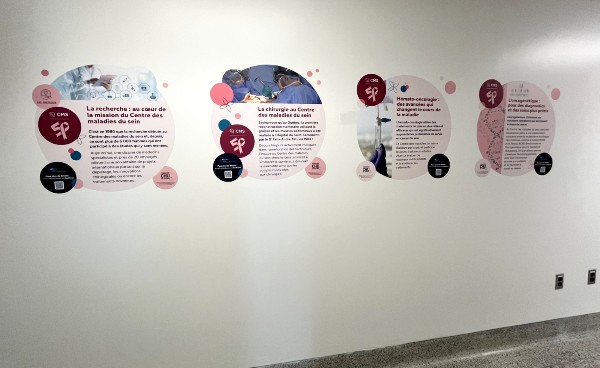 Une partie de la murale du CMS.