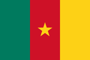 Le drapeau du Cameroun. L’étoile est le symbole de l'unité du pays, tandis que les « couleurs panafricaines » représentent la forêt, le progrès et l’espérance (vert), le soleil, la richesse et la savane (jaune) ainsi que l’autorité et le lien entre les régions du pays (rouge). Source : Getty images. Drapeau du Cameroun.