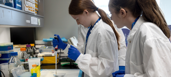 La Journée de la famille Chercheur d'un jour.