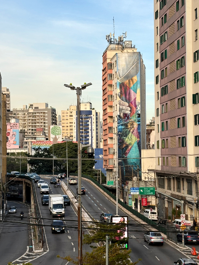 Murale urbaine à proximité de l’Elevado Presidente João Goulart, mieux connu sous le nom de Minhocão, à São Paulo. Source : Barbara Ramirez. Photo d'une murale et de l'autoroute Elevado Presidente João Goulart, à São Paulo.